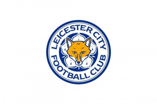 面临扣分危机！电讯报：莱斯特城违反职业联赛  财务规则，本赛季或被罚